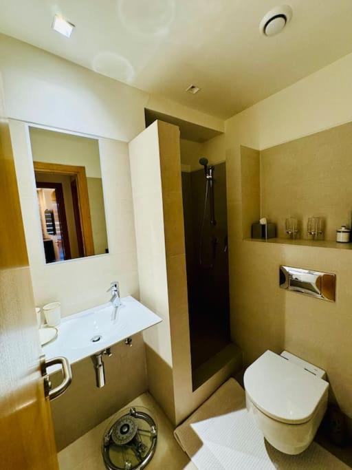 Luxueuse Et Paisible Appartement